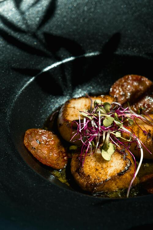 Delicious Scallop Recipes You’ll Love